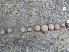 What are these???