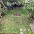 Suggestions for centre garden bed in Sydney?
