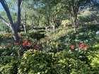 Public garden in the city 💯💯 – Reddit Post