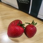 My first strawberries that bugs haven’t eaten – Reddit Post
