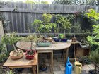 Garden corner – Reddit Post