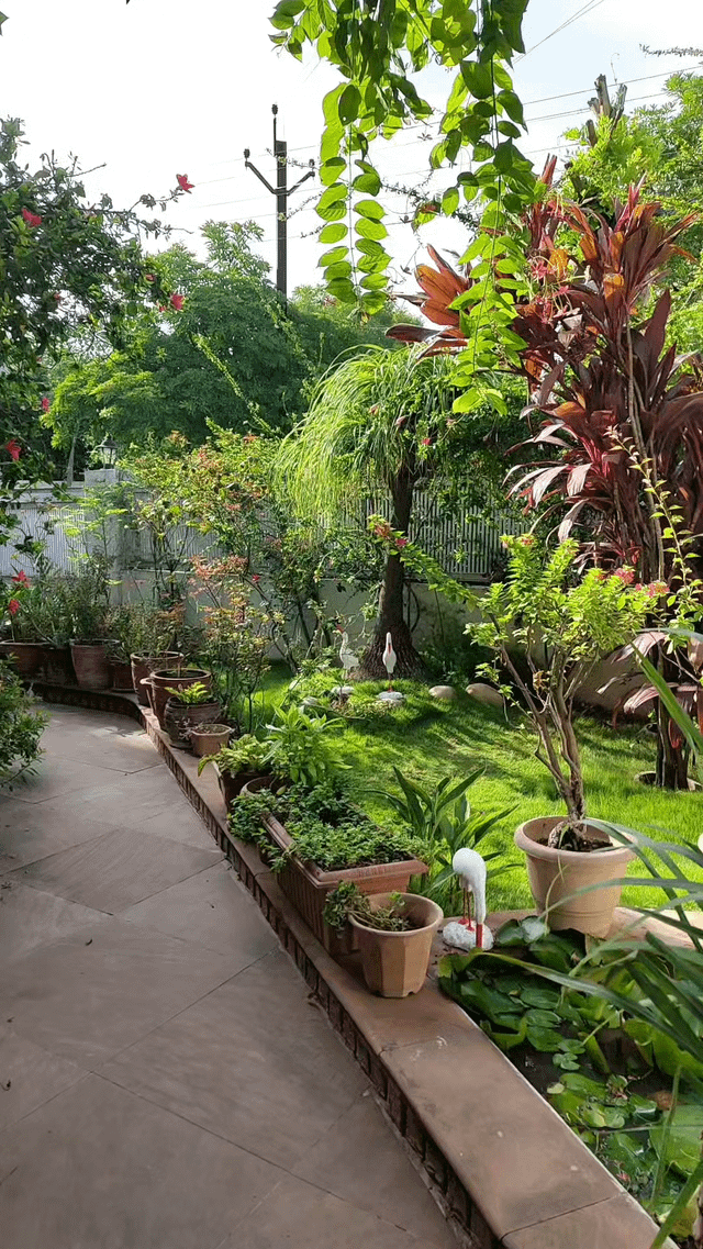 A pleasant morning in my garden. – Reddit Post