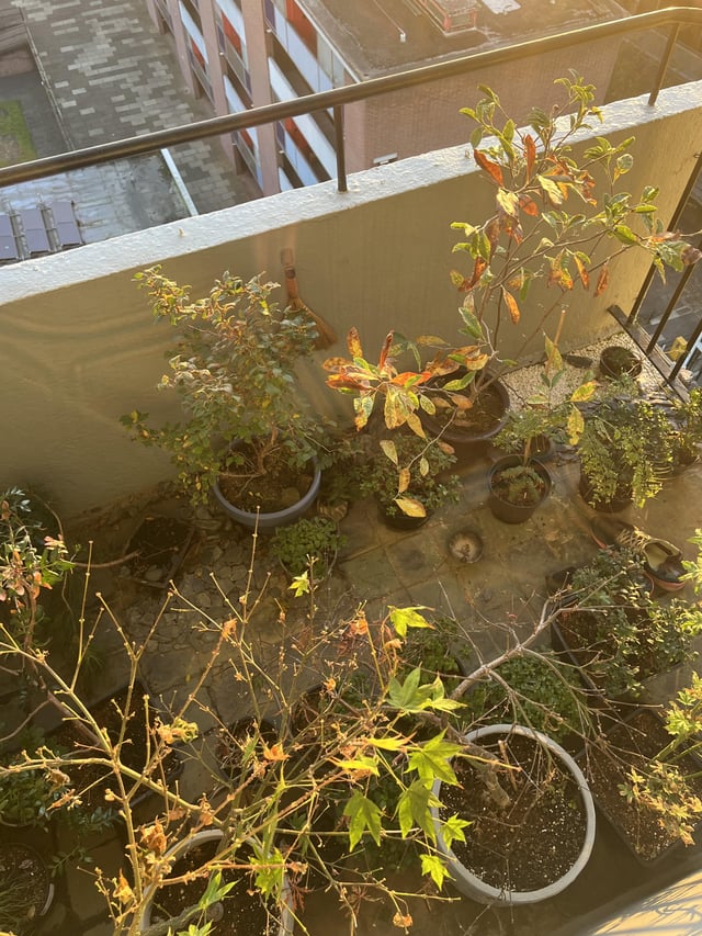 Balcony in autumn
