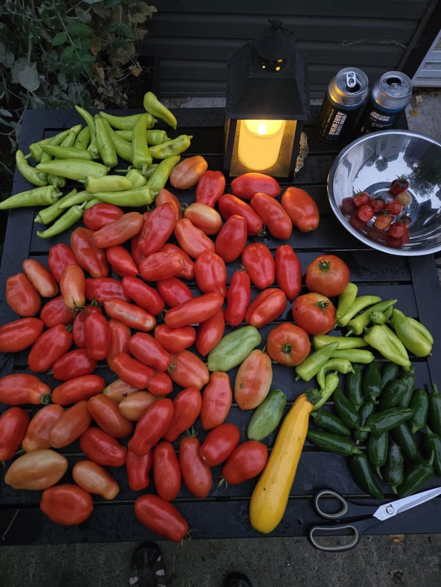 The last picking.. – Reddit Post