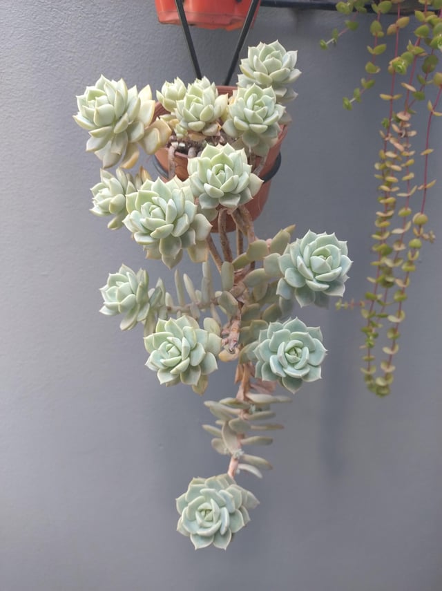Incredible how from something so small a step to this – Reddit Post