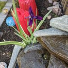 From seedling to muffins – Reddit Post