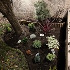 First time gardening. – Reddit Post