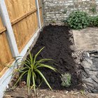 Does my prep look okay for my first ever border?