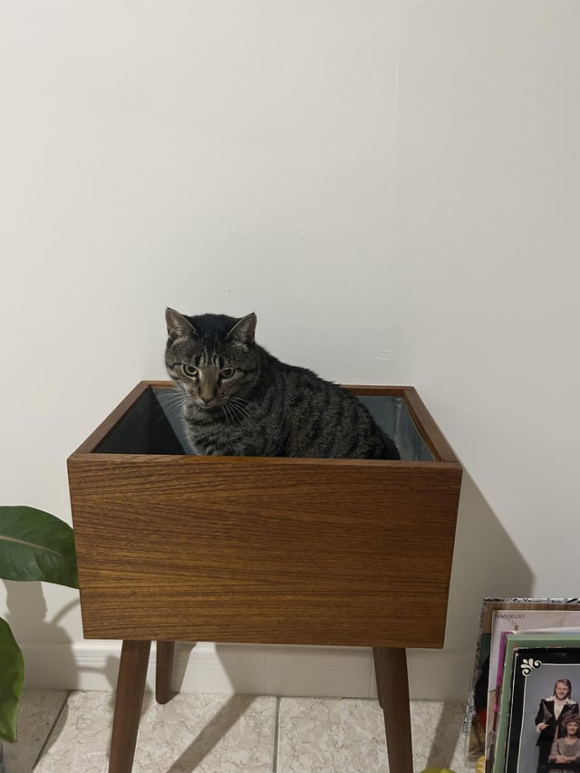 Indoor Planter ideas?