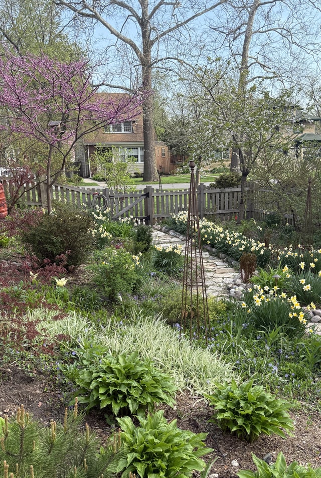Springtime in my garden! Forever “not quite there” but I’ve made a lot of updates since moving in 22mo ago and proud of it! – Reddit Post