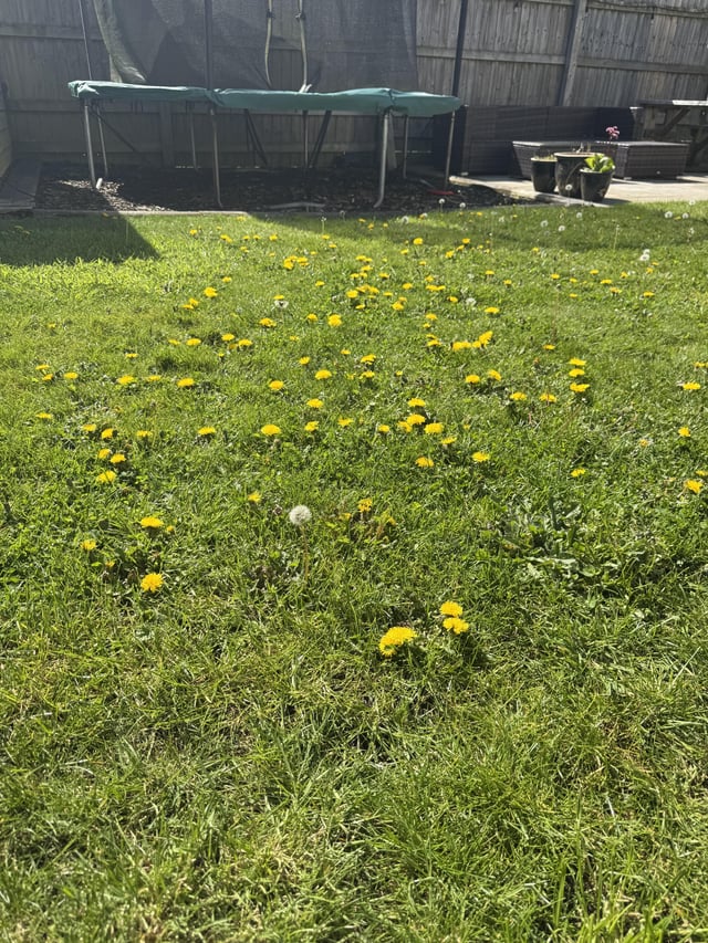 It would drive my Dad insane, but loving how these are looking!