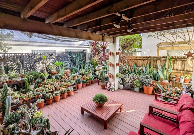My patio garden in Brisbane