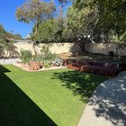 1 year in the house garden progress