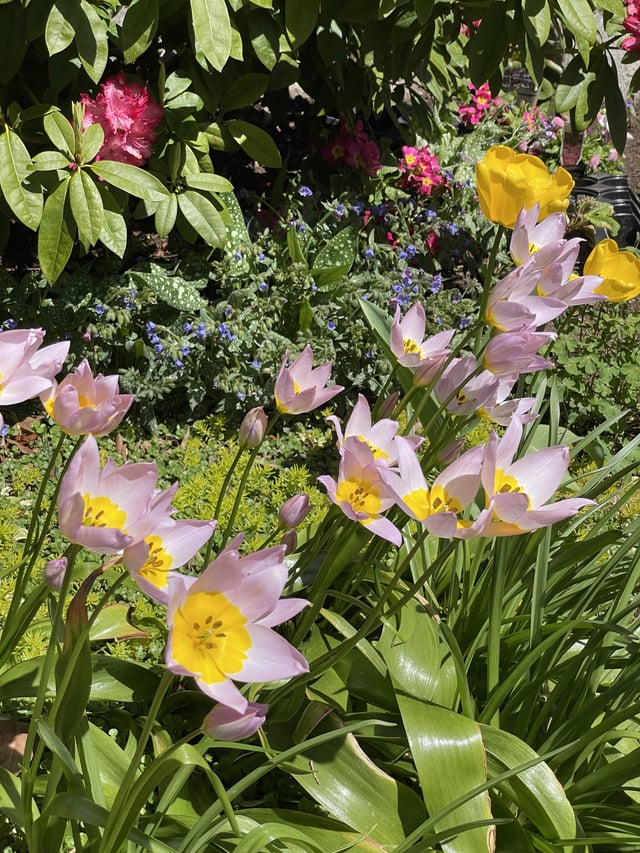 Garden view today – Reddit Post