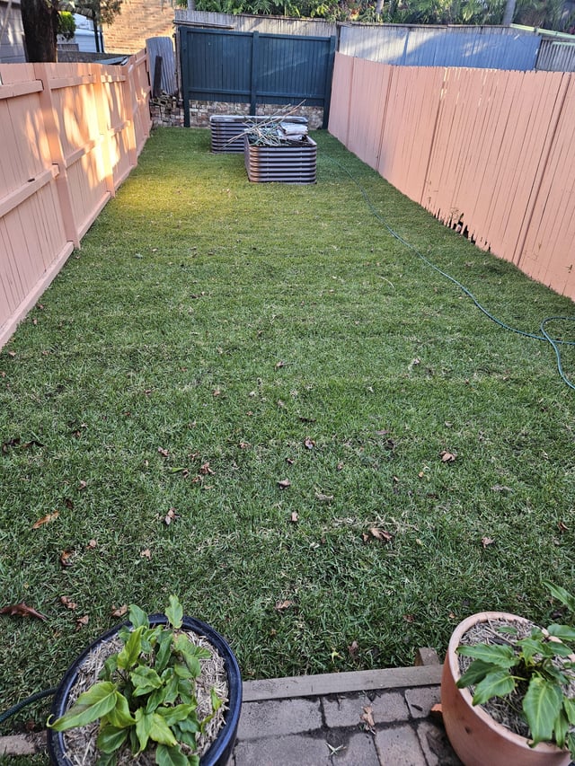 New turf laid last week