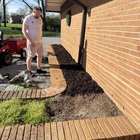 What would you plant?