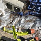 Previous owners left all these…would you try to salvage? – Reddit Post