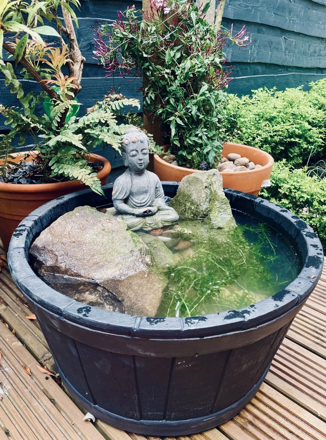 Me and my son’s attempt at a nature pond 🤞
