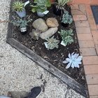 Layout help