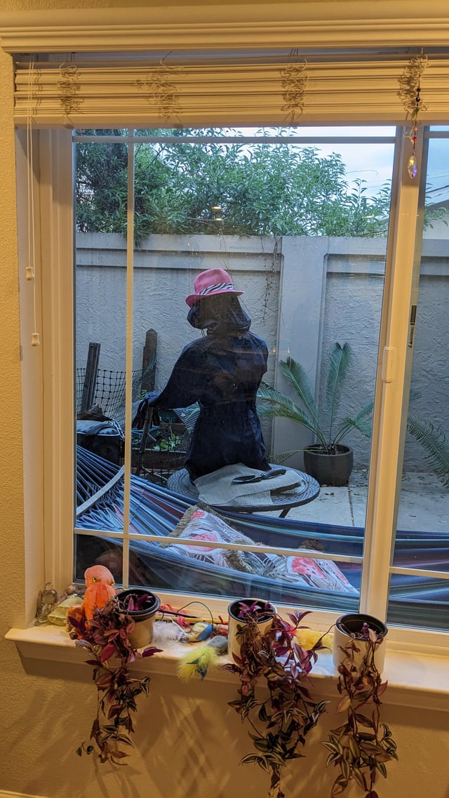 New Scarecrow Scarin the S#*@ Out of Me – Reddit Post