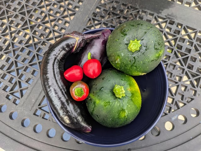 Some fresh picks from the garden this morning! – Reddit Post