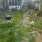 Gardening advice