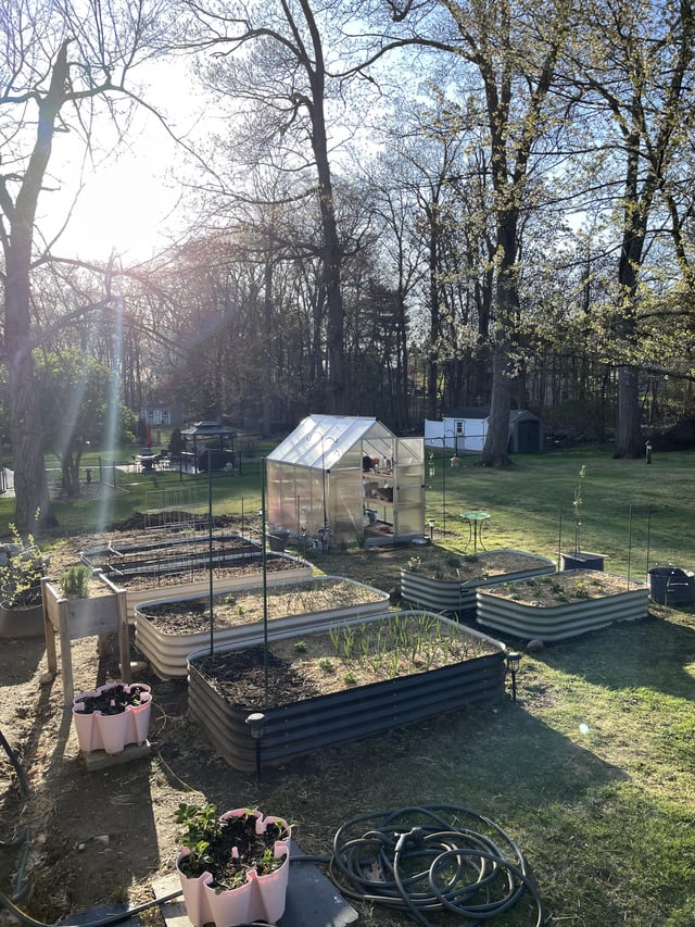 Coming to life in zone 6b – Reddit Post