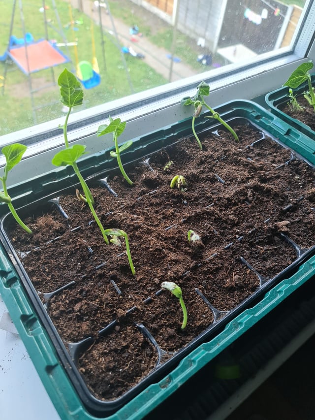 Question/help
