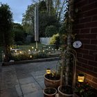 It’s early but the patio garden is coming along. Keeping me sane during difficult times