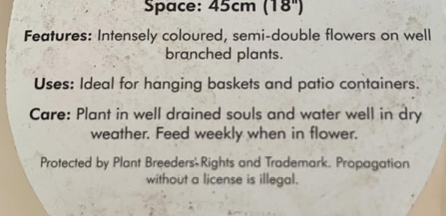 Plant in what now?