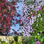 Colors of spring – Reddit Post