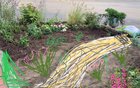 My tulips are popping in my new walkway put in last fall. The path went straight into the street so I changed it to go to driveway. Before and after pics – Reddit Post