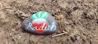 Painted rocks as my garden markers this year – Reddit Post