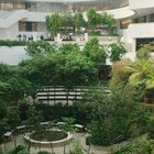 University landscaping in Brazil – Reddit Post