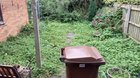 Bought my first house, is my garden in as bad a shape as it looks?
