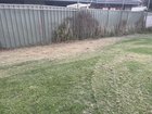How to stop grass and weeds from growing?