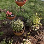 My mostly native pollinator bed is coming together – Reddit Post