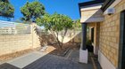 Ideas for front yard screening