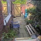Improving my garden for my cat!
