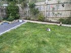 Should I level my lawn?
