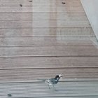 What to do to help them?