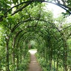 Would this work in a home garden? – Reddit Post