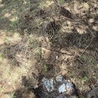 I see your burried plastic bottle and raise you this… – Reddit Post