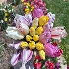 I love Spring! – Reddit Post