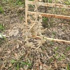 I see your buried plastic bottle and raise you this… – Reddit Post