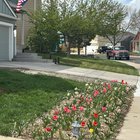 garden yesterday vs garden today 😭 I ordered hoops and protective cloth but it didn’t show up until 11 last night so we’ll just see what happens…. I’m guessing the blooms are screwed though – Reddit Post