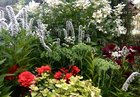 Our Backyard Garden Past Couple Spring/Summers – Reddit Post