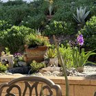 My yard right now – Reddit Post