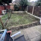 Reviving my grass