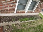 Moved into my first home..planted my first garden 😃 – Reddit Post